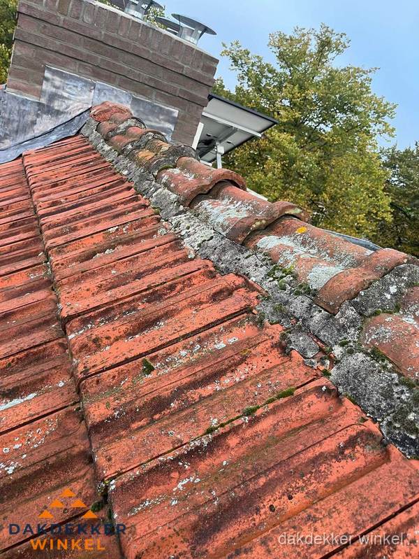 Verweerd hellend dak met mosgroei op nokvorst in Winkel Verweerd hellend dak met mosgroei op nokvorst in Winkel